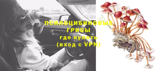 трава Армянск
