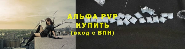 spice Аркадак