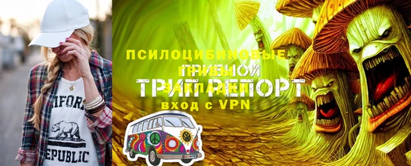 spice Аркадак