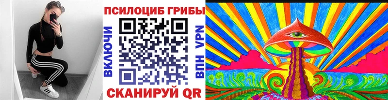 Галлюциногенные грибы MAGIC MUSHROOMS сколько стоит Няндома